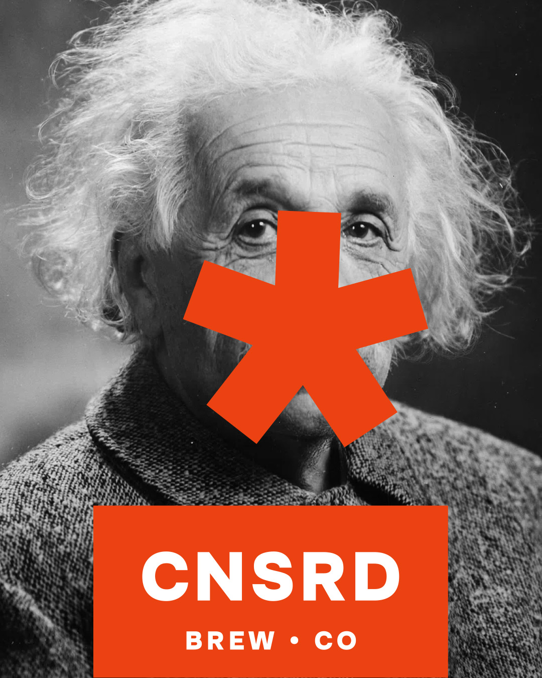 Censoring Intellect Digital Campaign